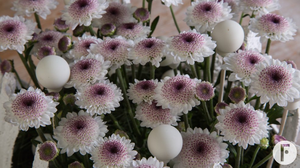 Flower Factor Kerst roze2