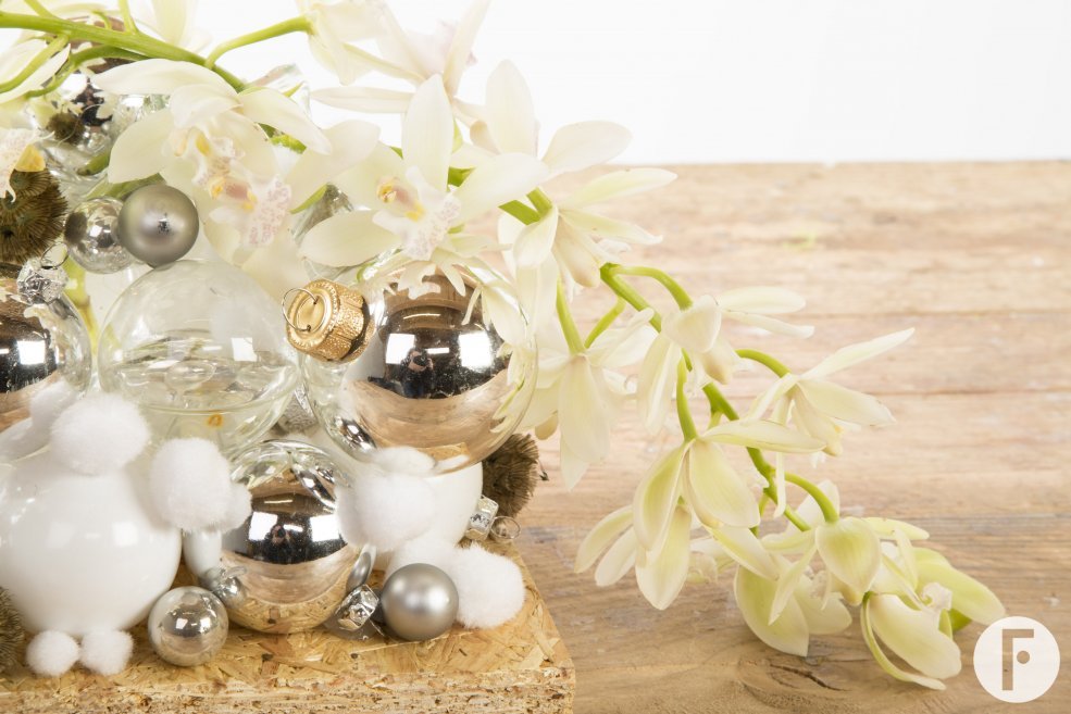 LZorchidee Cymbidium kerst2