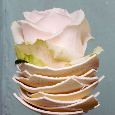 Eenvoudig maar decoratief met eierschil 