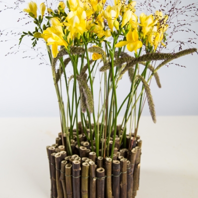 Freesia's in bamboe