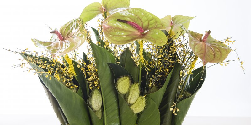 Paascompositie met snij-Anthurium Pistache