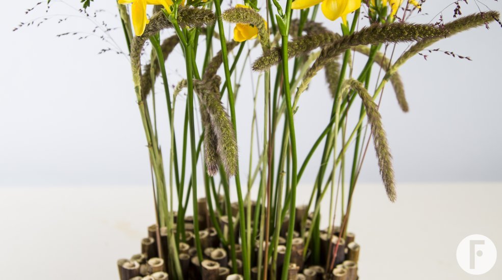 Hofland freesia wikkelen pasen2