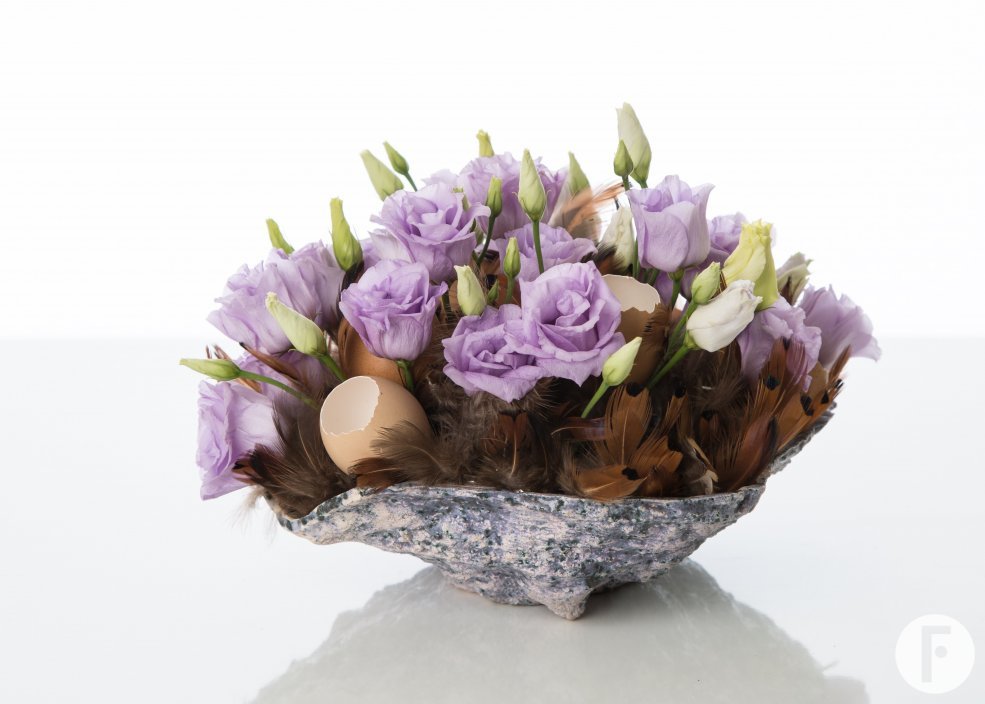 570A29221 kopie jpeg