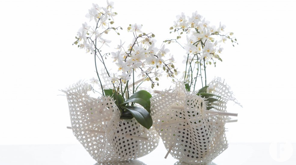 Opti flor interieur wit keuken kleine soort