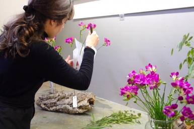 #FreestyleFreesia van Roos van Unen