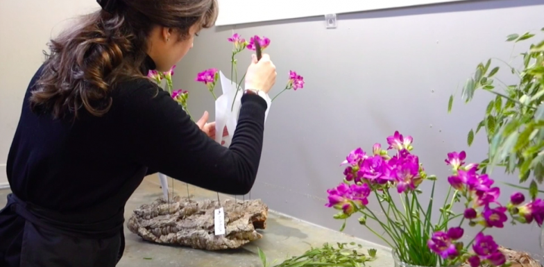 #FreestyleFreesia van Roos van Unen