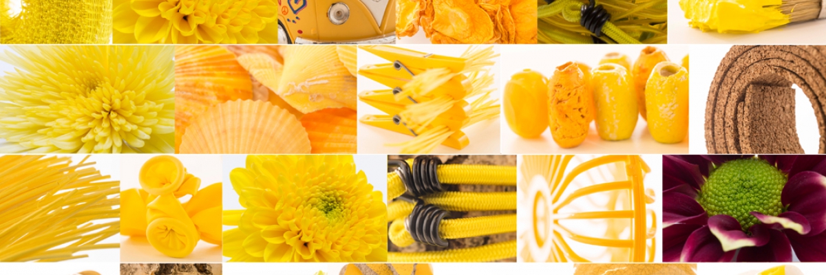 Zentoo Summer mood board