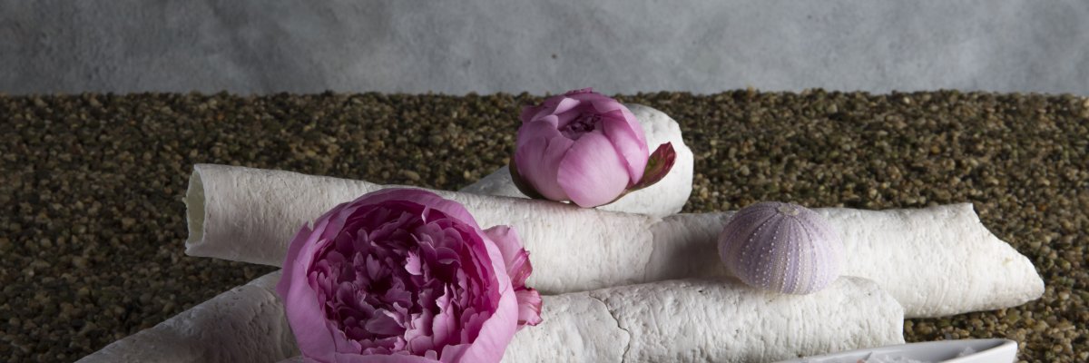 Nature's luxury: pioenroos 'Sarah Bernhard'