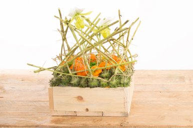 Arrangement in herfsttinten