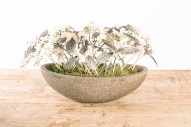 Orchid and feather festival