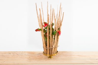 Luxurious Anthurium design