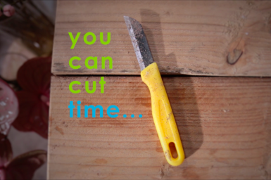 Did you know... you can cut time instead of flowers
