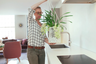 Cascade Cymbidium in DIY hangpot