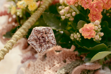 kleurrijk Kalanchoë design