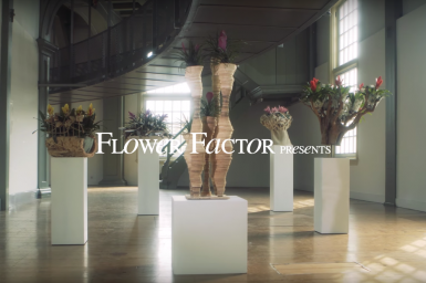 The art of Bromeliad