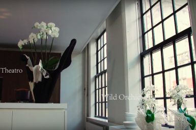 Niet zomaar wit... maar stralend wit!