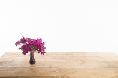 Hart van Phalaenopsis