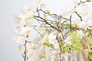 Spring design by David Ragg