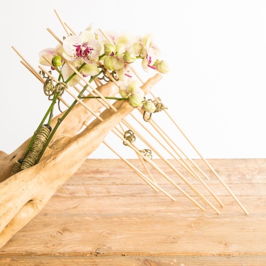 Elegant orchideeën ontwerp