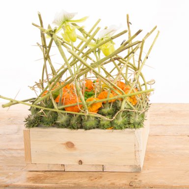 Seasonal arrangement: fall