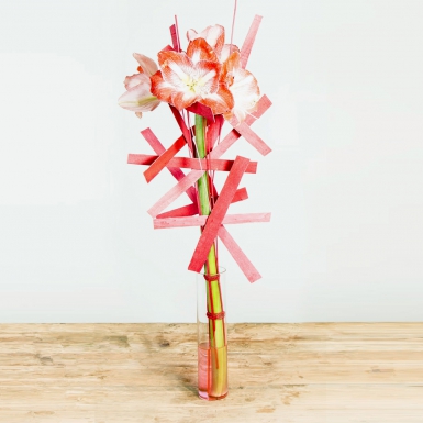 Ontwerp met een enkele bloem