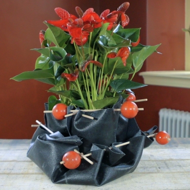 Anthurium design van Iris van Werkhoven
