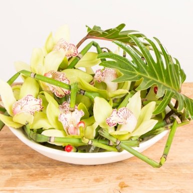 Stoer ontwerp met Cymbidium