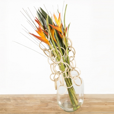 Olympische fakkel van Heliconia's