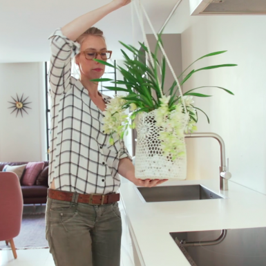 Cascade Cymbidium in DIY hangpot