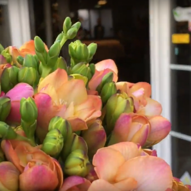 #FreestyleFreesia door Nelleke Bontje