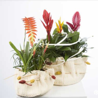 Design met opgerold blad