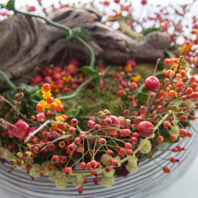 Bessenparade - close up