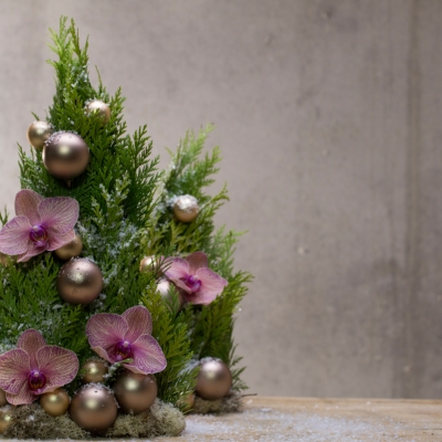 Alternative Christmas tree