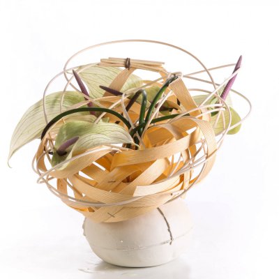 Anthurium design by Pim van den Akker