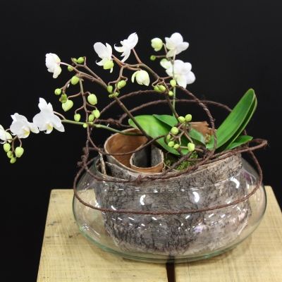 Arrangement met orchideeën van Geertje Stienstra