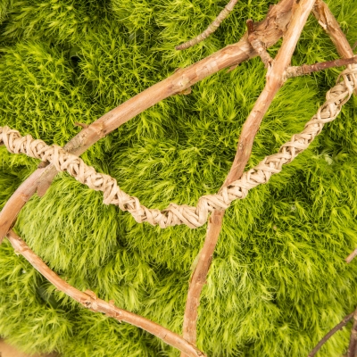 Floral object with Green Trick - close up