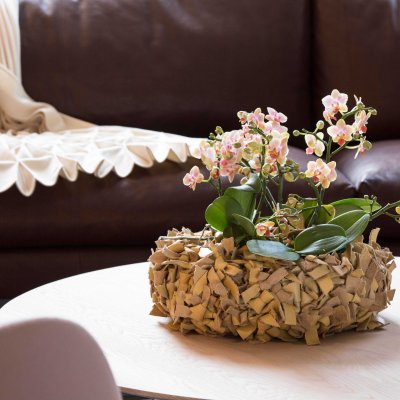 Arrangement met miniatuur orchideeën