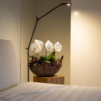 Speciaal: de Singolo