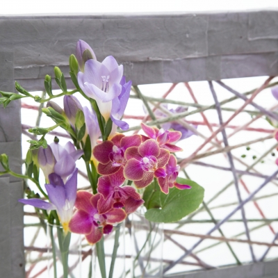 Freesia and Phalaenopsis combination