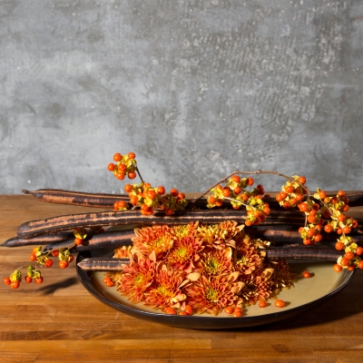Herfstschaal met 'Bartoli' chrysanten
