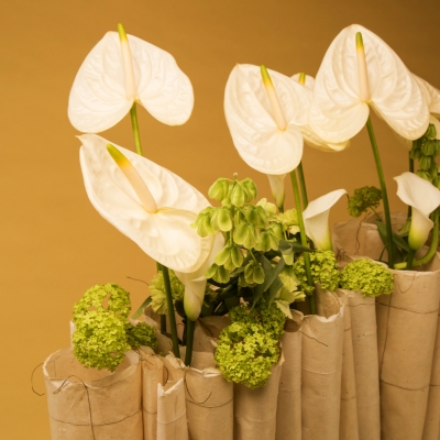 Anthurium design by Geertje Stienstra