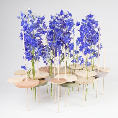 Design with Delphinium 