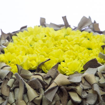 Spring Chrysanthemum design