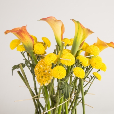 Limoncello design - close up