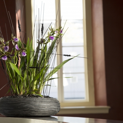 Stunning Zygopetalum design