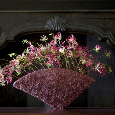 Magnificant Gloriosa 