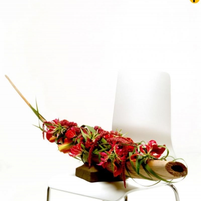 Tropical Gloriosa and Amaranthus