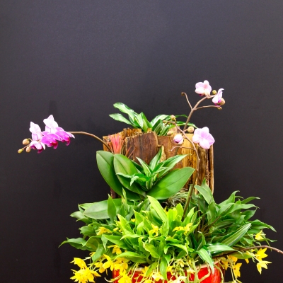 Arrangement van Inge Quint