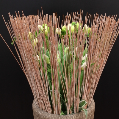 Arrangement van Regina Motmans