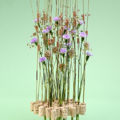 flower arrangement with Dianthus and Scabiosa